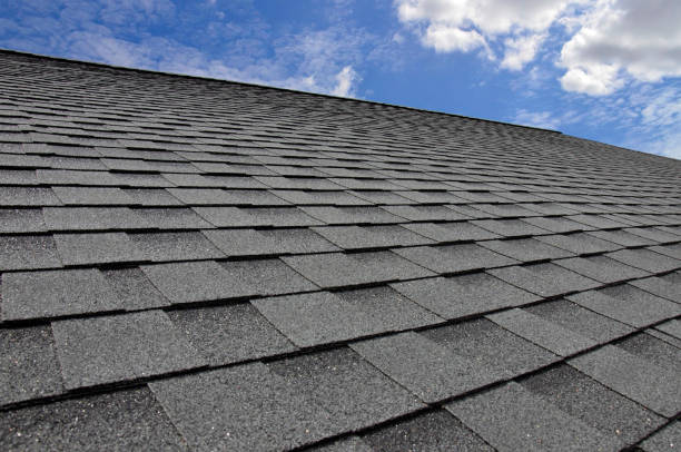 Best Roof Ventilation Installation  in Wilton, IA